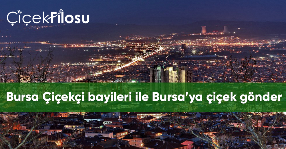 Bursa Çiçekçi