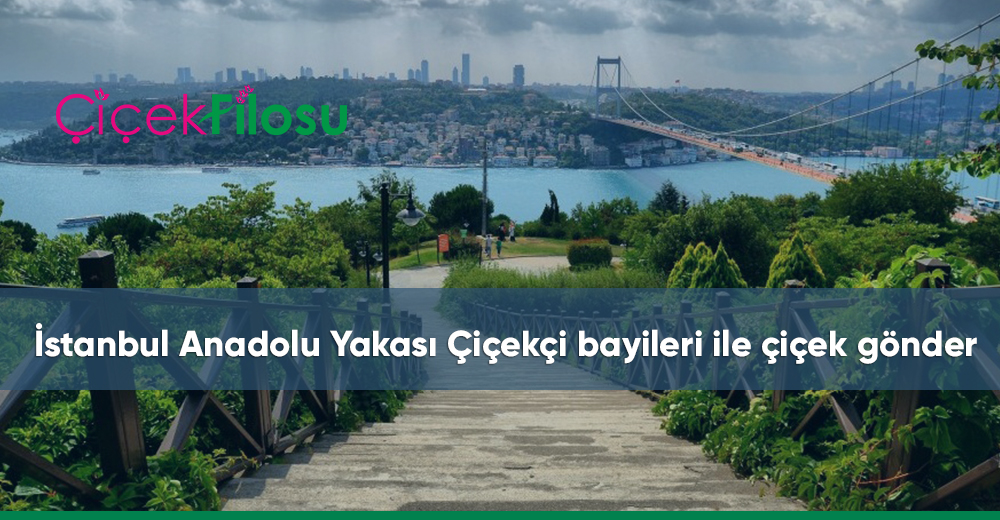 anadolu yakası çiçekçi