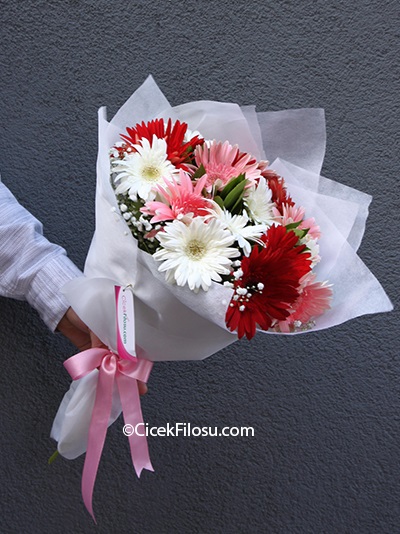 İlkbaharın Güzelliği