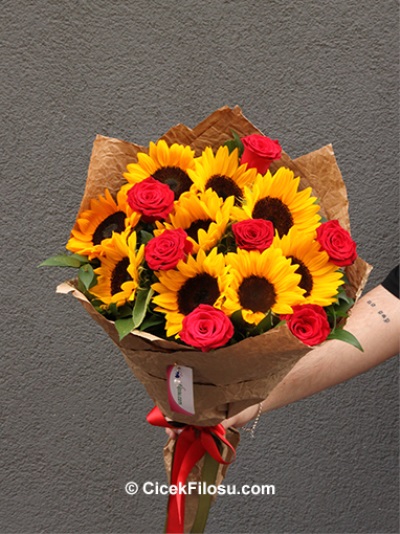 Ayçiçeği Serisi 2