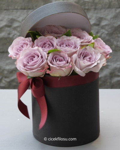 Kutu Kutu Mutluluk Serisi 11