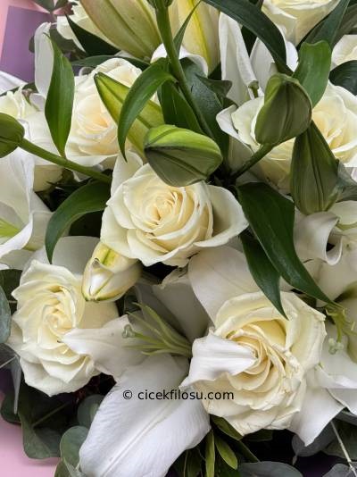 Lilyum Buket Serisi 4