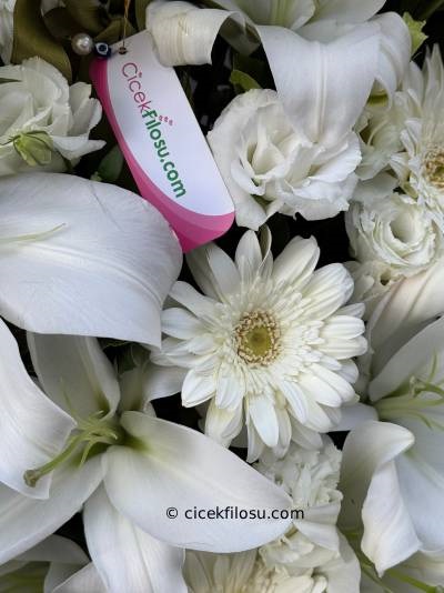 Lilyum Aranjman Serisi 2