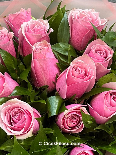 15 Pembe Gül