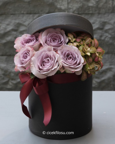 Kutu Kutu Mutluluk Serisi 10