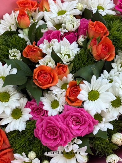 Çardak Gül Serisi 5