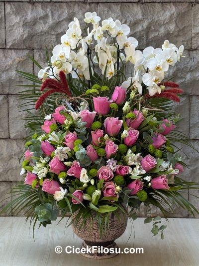 Beyaz Orkide ve Pembe Güller