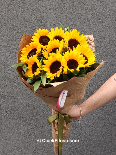 Ayçiçeği Serisi 1