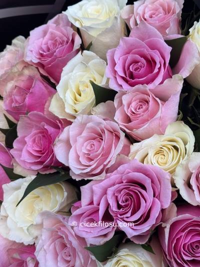 Renkli Gül Serisi 8