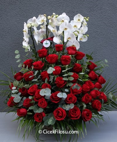 Özel Orkide Serisi 3