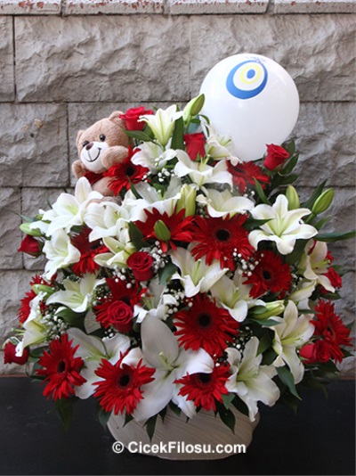 Bebek Doğum Aranjman Serisi 2