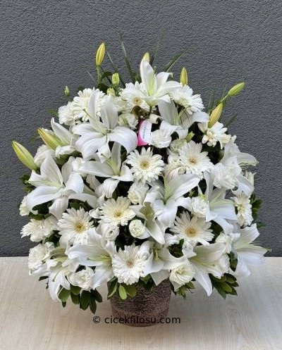 Lilyum Aranjman Serisi 2