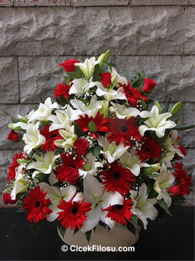 Özel Aranjman Serisi 1