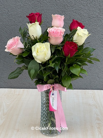 Renkli Gül Serisi 1