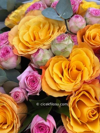 Renkli Gül Serisi 7