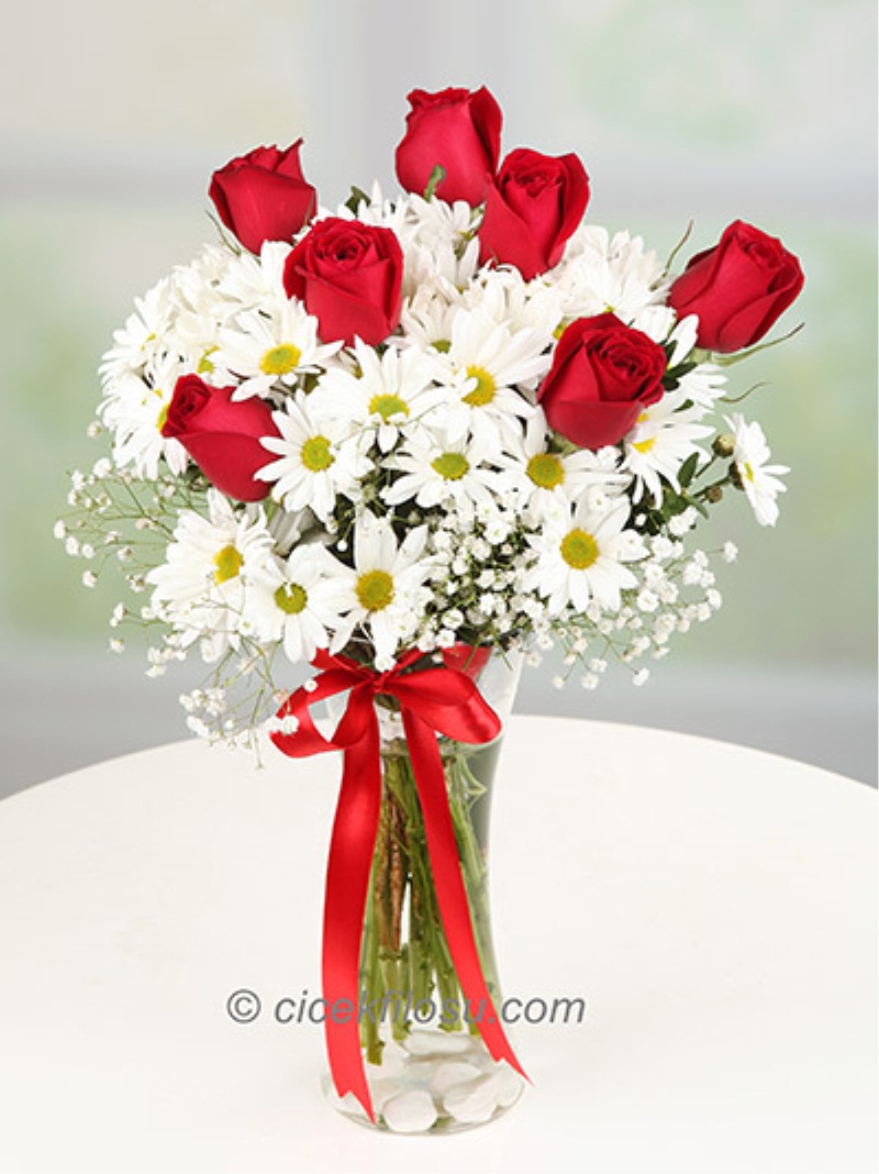 Kır Çiçeği ve Gül