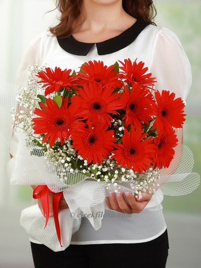 Kırmızının Cazibesi