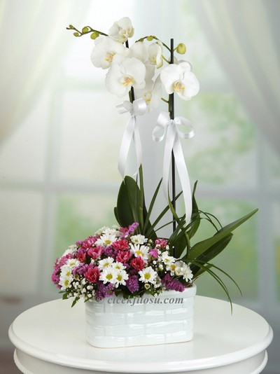 Hayat Seninle Güzel