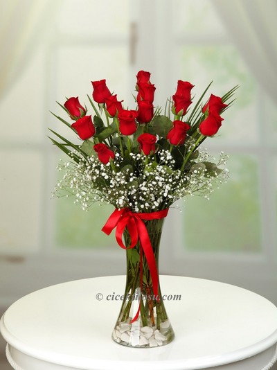 Vazoda 15 Kırmızı Gül