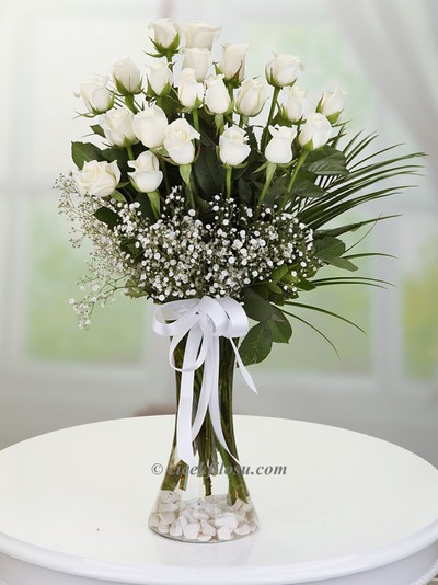 Vazoda 21 Beyaz Gül