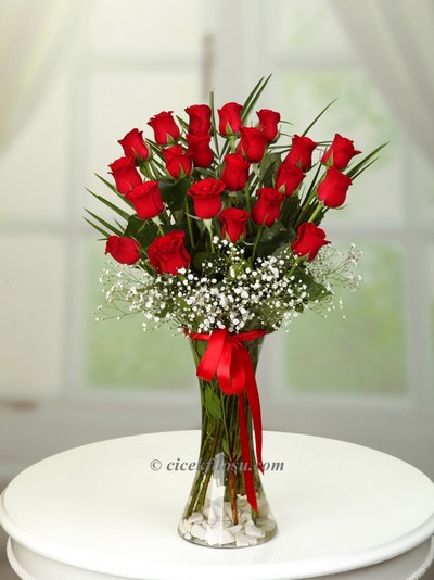 Vazoda 21 Kırmızı Gül