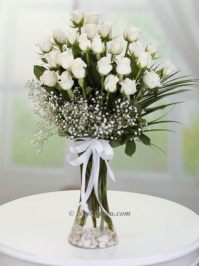 Vazoda 25 Beyaz Gül