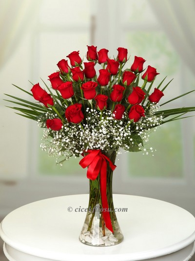 Vazoda 25 Kırmızı Gül