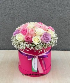 Renkli Gül Serisi 7