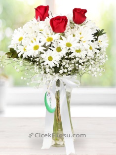 Vazoda Papatya ve Gül