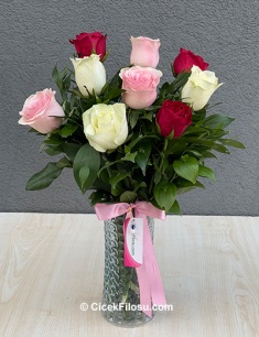 Vazoda 9 Renkli Gül