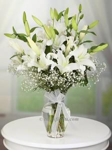 Cam Vazoda Beyaz Lilyumlar