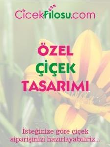 ÖZEL ÇİÇEK TASARIMI