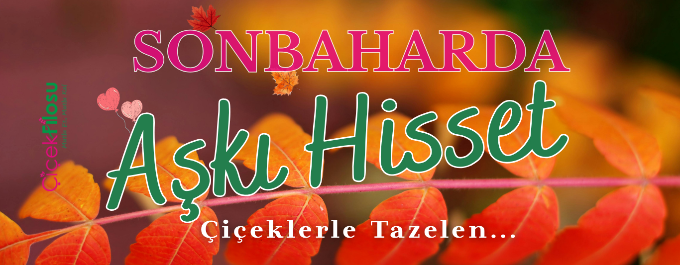 MEVSİM ÇİÇEKLERİ