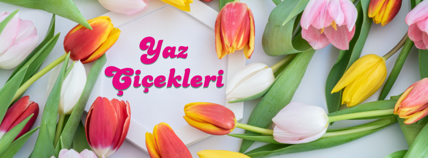yaza özel vip çiçekler