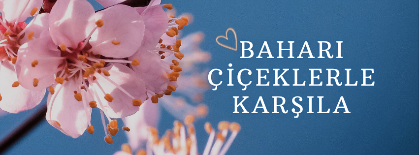 mevsim çiçekleri yeni